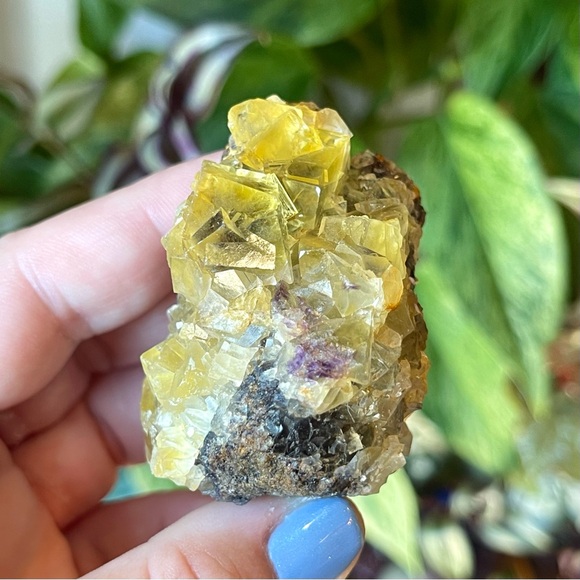 💛Fluorescent Fluorite Crystal Cluster Specimen Namibia💛
